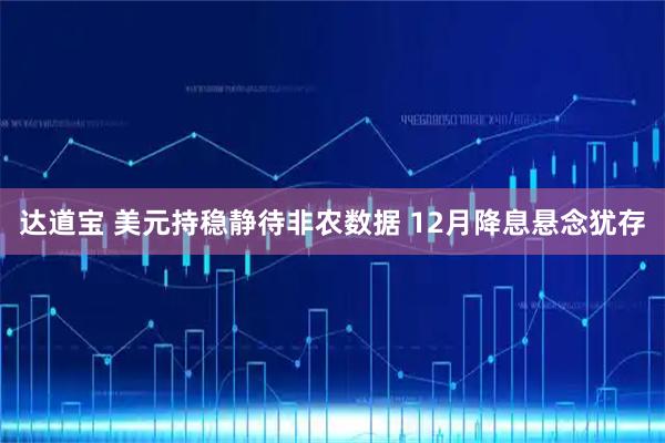 达道宝 美元持稳静待非农数据 12月降息悬念犹存