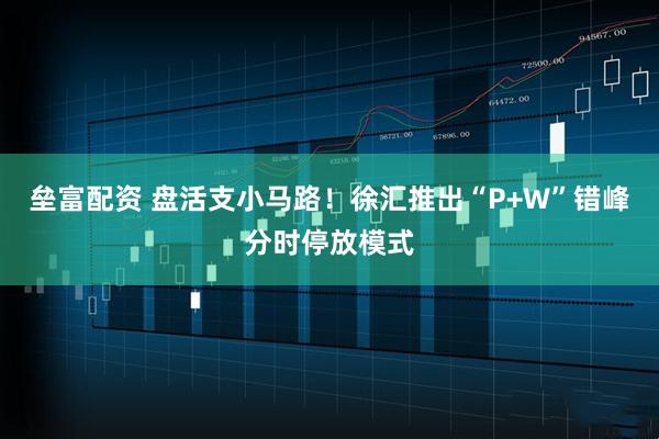 垒富配资 盘活支小马路！徐汇推出“P+W”错峰分时停放模式