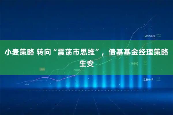 小麦策略 转向“震荡市思维”，债基基金经理策略生变