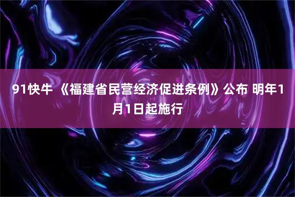 91快牛 《福建省民营经济促进条例》公布 明年1月1日起施行