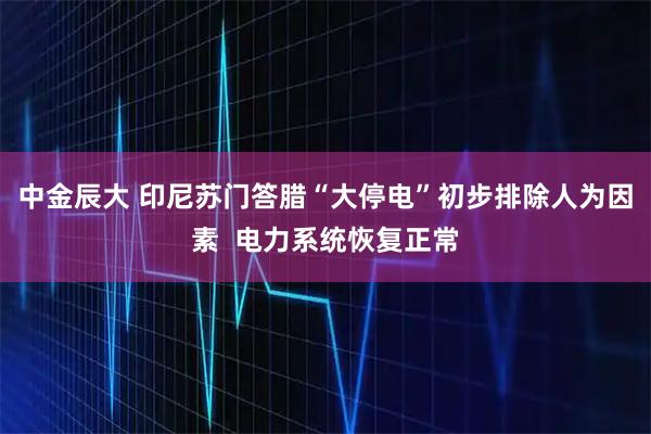 中金辰大 印尼苏门答腊“大停电”初步排除人为因素  电力系统恢复正常